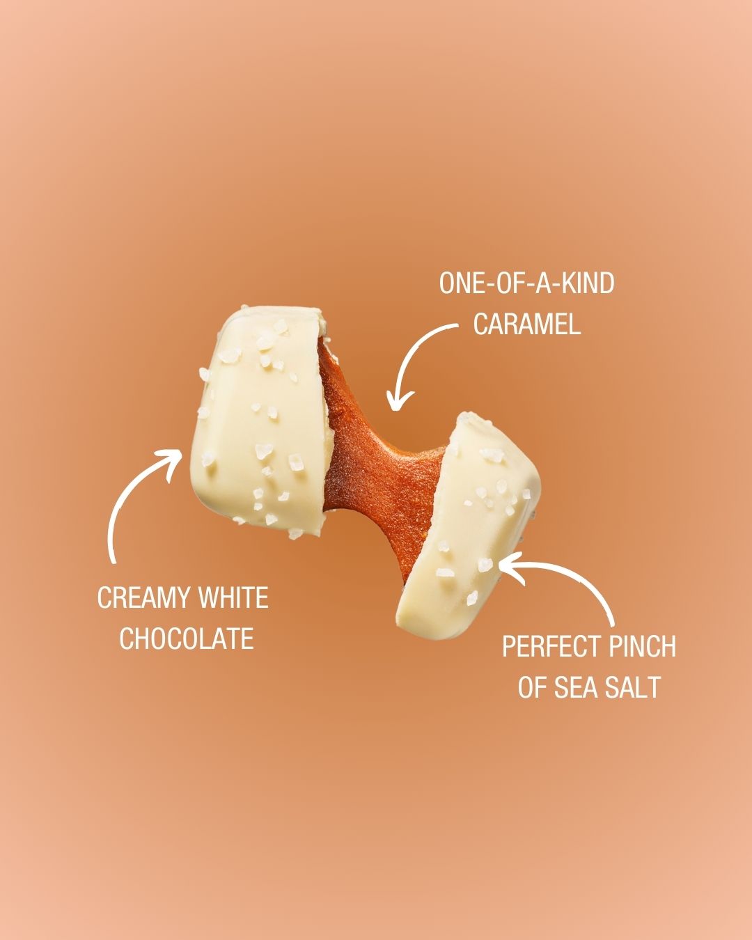 Sanders Candy - White Chocolate Sea Salt Caramels 7oz Pouch