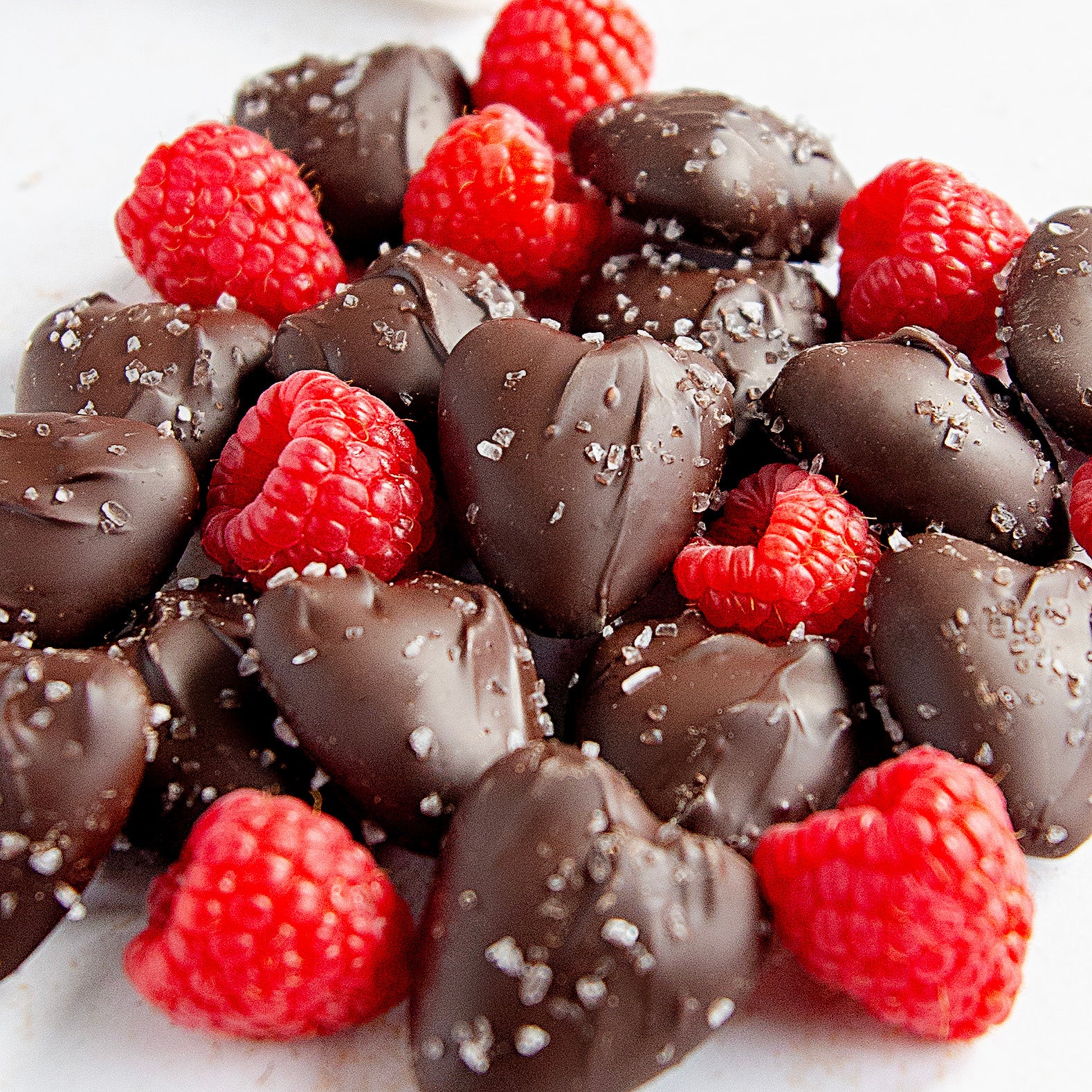 Sanders_ValentinesShoot_2023_2