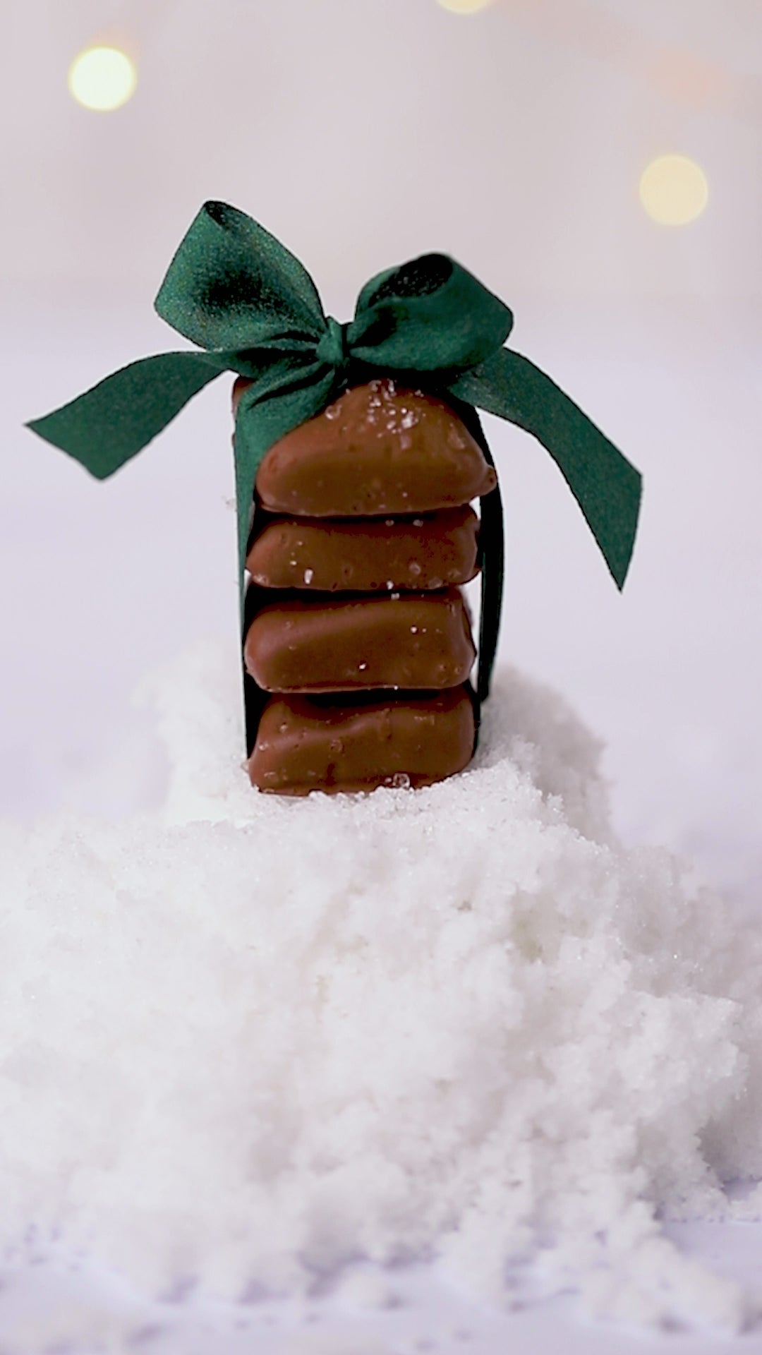 Milk Chocolate Sea Salt Caramels Holiday 7 oz. pouch